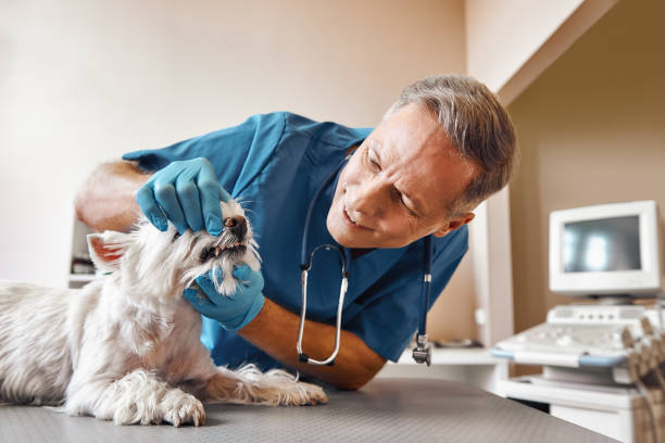 Best Tooth Infection Emergency Dentist  in Fairview, TX